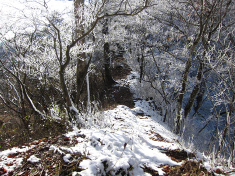 20191129hike (327)